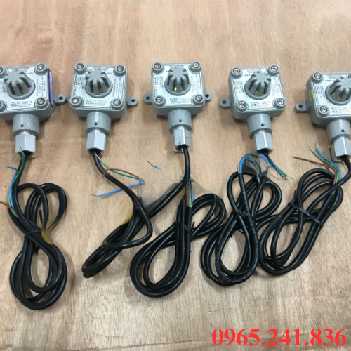 Tiêu chí sử dụng đầu dò khí gas chống cháy nổ