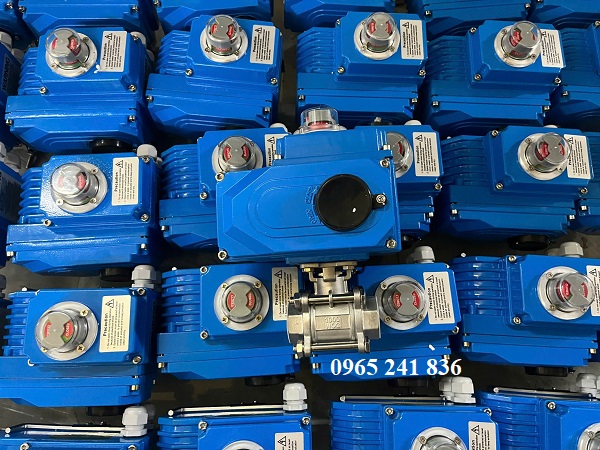 Van bi ren điều khiển điện Samwoo Hàn Quốc 