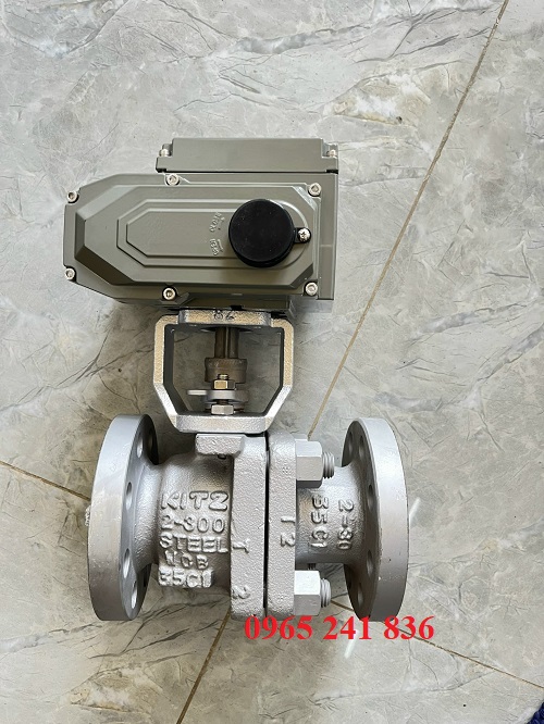 van bi điều khiển điện nhiệt độ cao thép Đài Loan