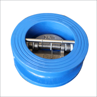 Van một chiều cánh bướm