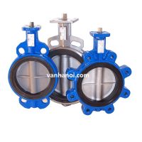 Van bướm Trung Quốc