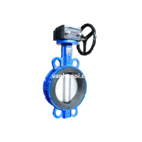 Van bướm Malaysia