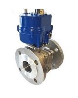 Van bi điều khiển điện kiểu mặt bích