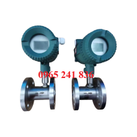 Đồng hồ đo nước thải điện tử