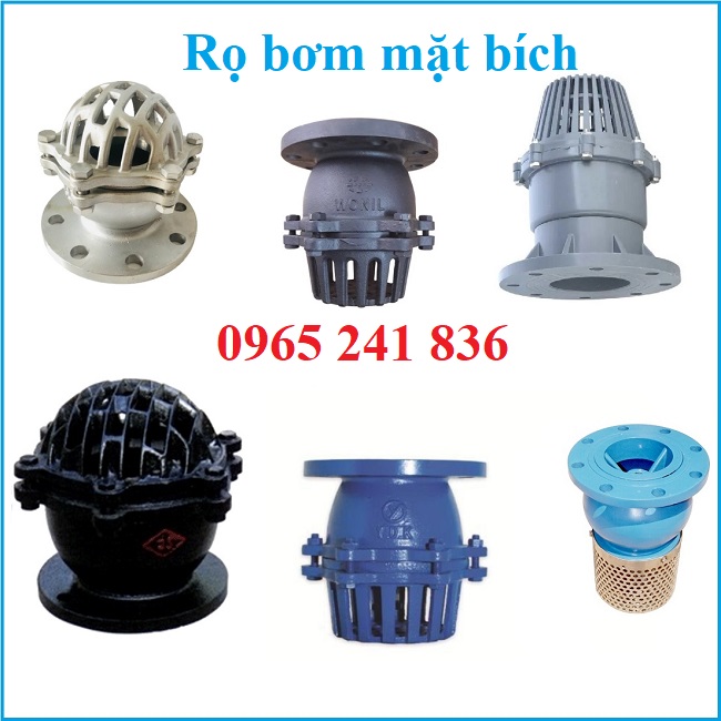 Rọ bơm mặt bích