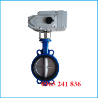 Van bướm motor điện