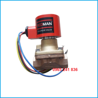 Van điện từ đồng Nhật Bản