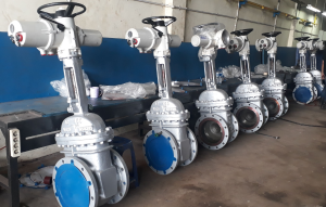 Van cửa DN15, DN20, DN25, DN32, DN40, DN50, DN65, DN80, DN100