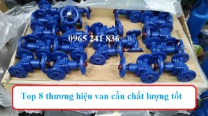 Top 8 thương hiệu van cầu hơi chất lượng, giá rẻ